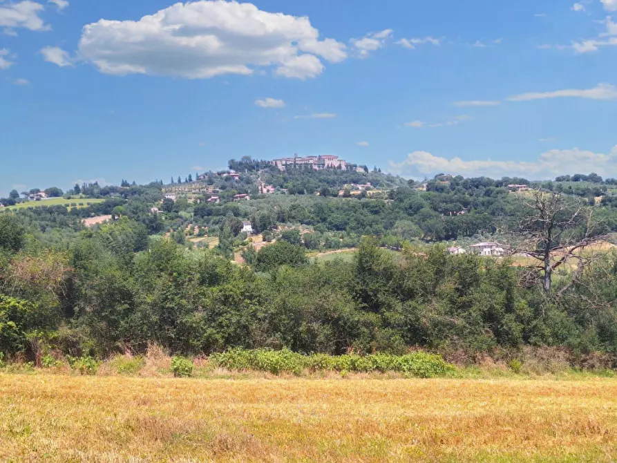 Immagine 2 di Terreno in vendita  in Loc. Paganello - Via Del Furioso, N. snc a Monte Castello Di Vibio