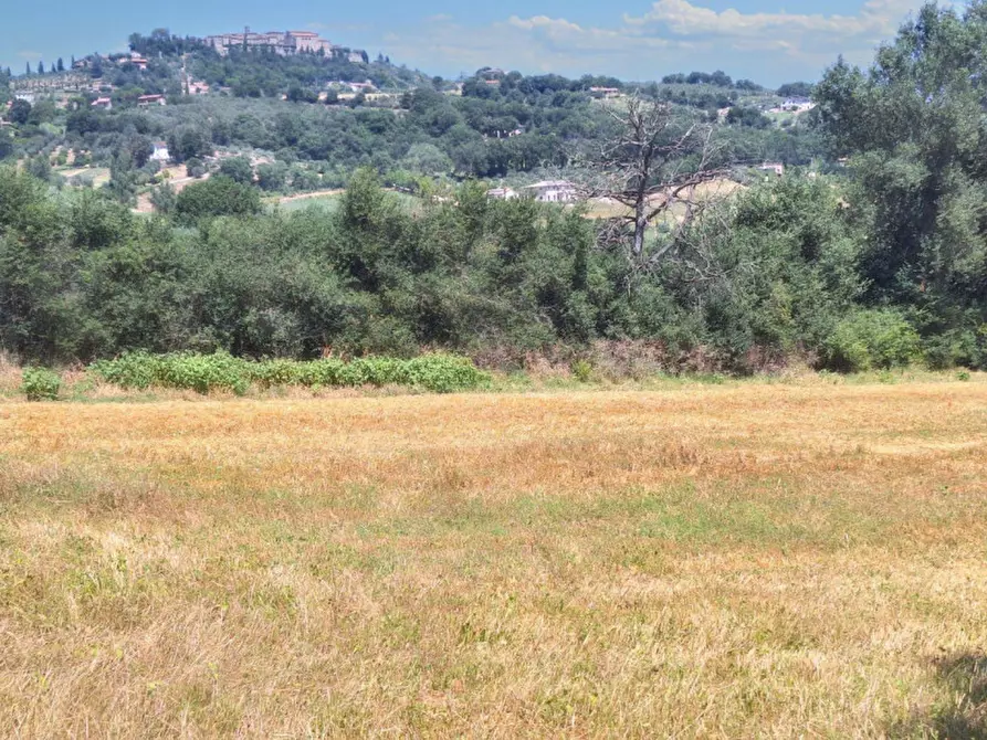 Immagine 3 di Terreno in vendita  in Loc. Paganello - Via Del Furioso, N. snc a Monte Castello Di Vibio