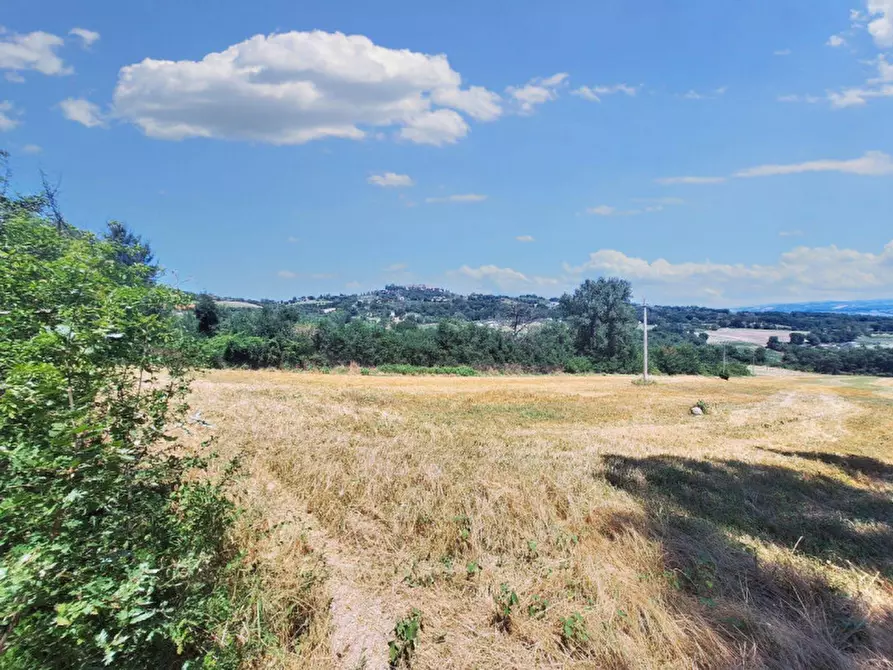Immagine 5 di Terreno in vendita  in Loc. Paganello - Via Del Furioso, N. snc a Monte Castello Di Vibio