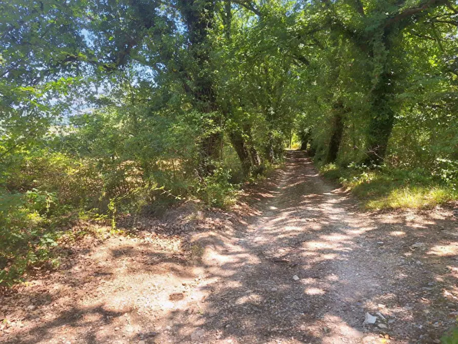 Immagine 6 di Terreno in vendita  in Loc. Paganello - Via Del Furioso, N. snc a Monte Castello Di Vibio