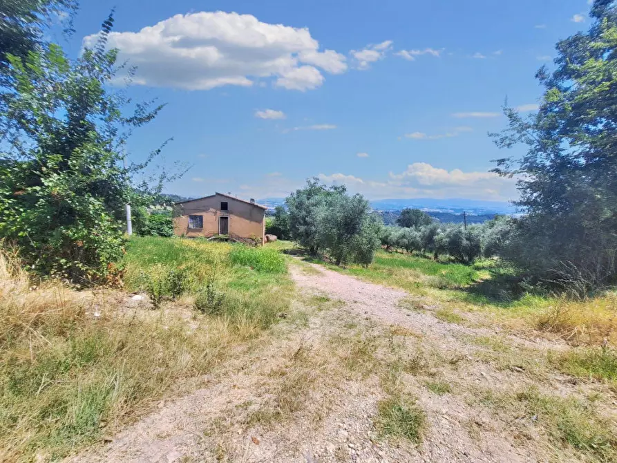 Immagine 7 di Terreno in vendita  in Loc. Paganello - Via Del Furioso, N. snc a Monte Castello Di Vibio