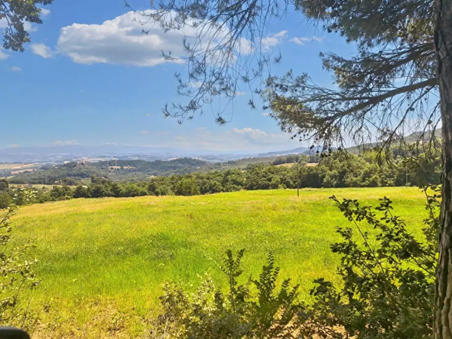 Immagine 8 di Terreno in vendita  in Loc. Paganello - Via Del Furioso, N. snc a Monte Castello Di Vibio