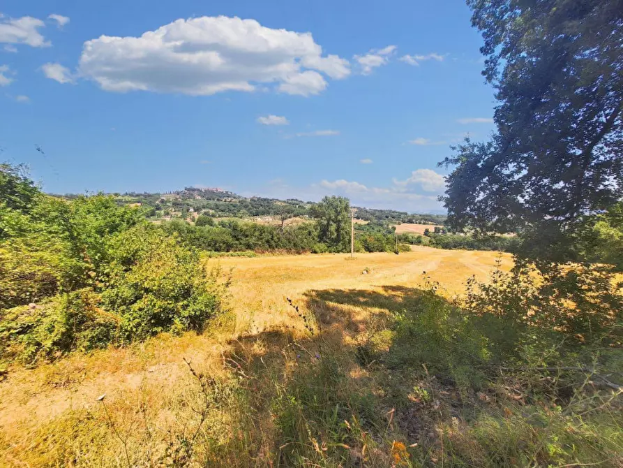 Immagine 9 di Terreno in vendita  in Loc. Paganello - Via Del Furioso, N. snc a Monte Castello Di Vibio