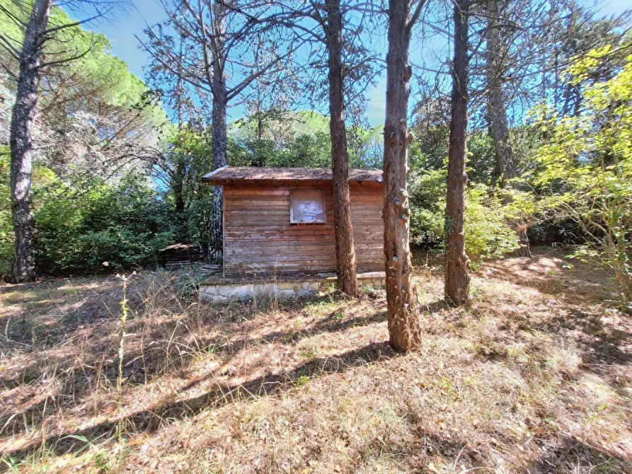 Immagine 5 di Villa in vendita  in Via Delle Capanne, N. 43 a Monte Castello Di Vibio