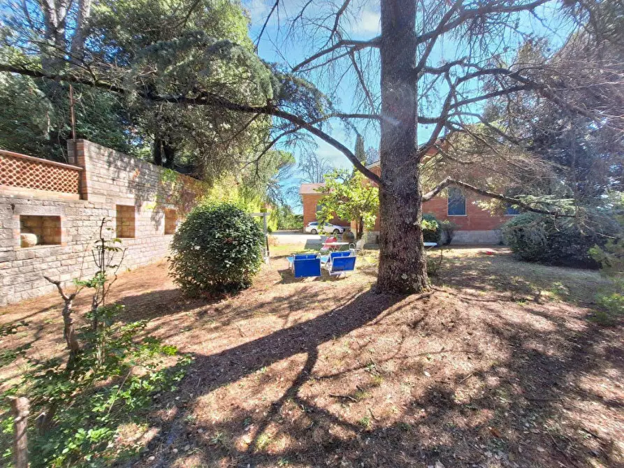 Immagine 7 di Villa in vendita  in Via Delle Capanne, N. 43 a Monte Castello Di Vibio