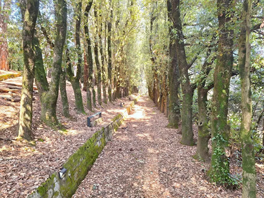 Immagine 9 di Villa in vendita  in Via Delle Capanne, N. 43 a Monte Castello Di Vibio