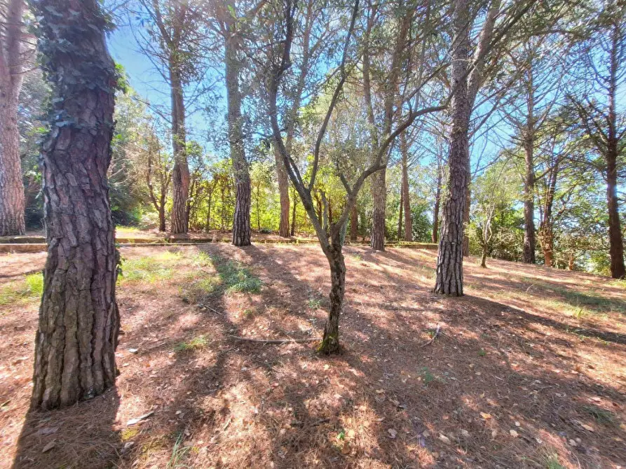 Immagine 10 di Villa in vendita  in Via Delle Capanne, N. 43 a Monte Castello Di Vibio