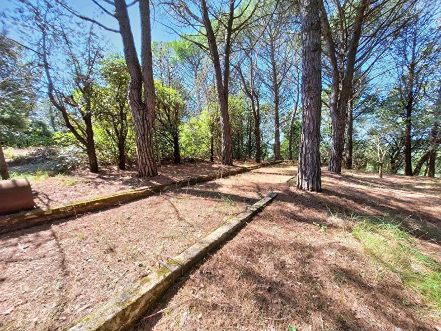 Immagine 11 di Villa in vendita  in Via Delle Capanne, N. 43 a Monte Castello Di Vibio