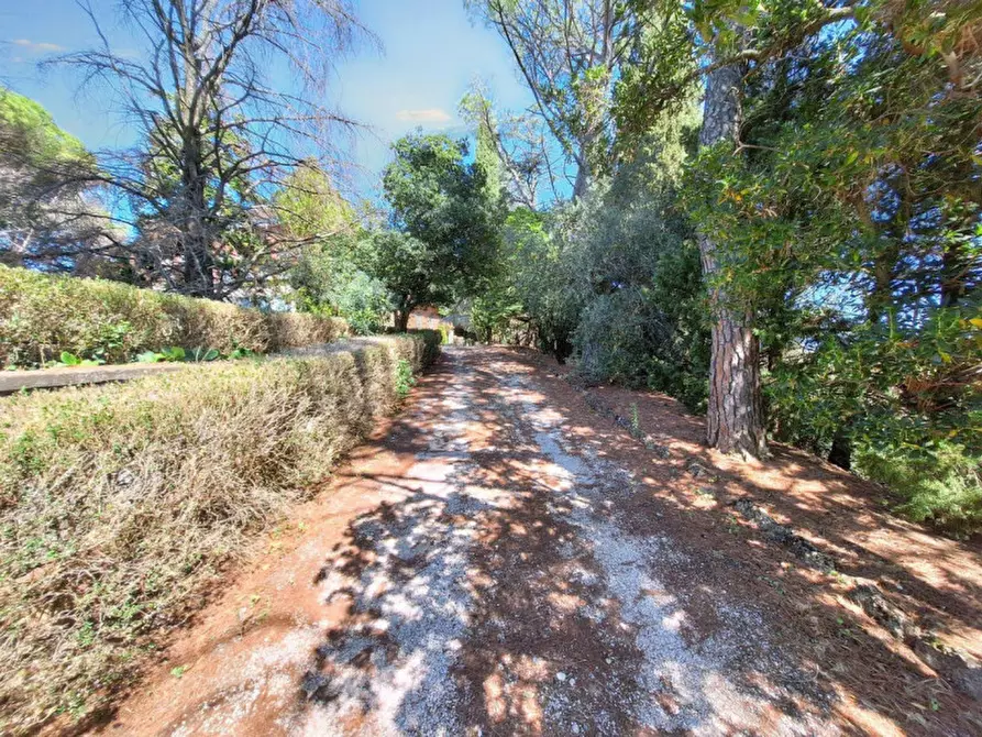 Immagine 12 di Villa in vendita  in Via Delle Capanne, N. 43 a Monte Castello Di Vibio