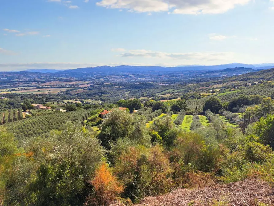 Immagine 13 di Villa in vendita  in Via Delle Capanne, N. 43 a Monte Castello Di Vibio