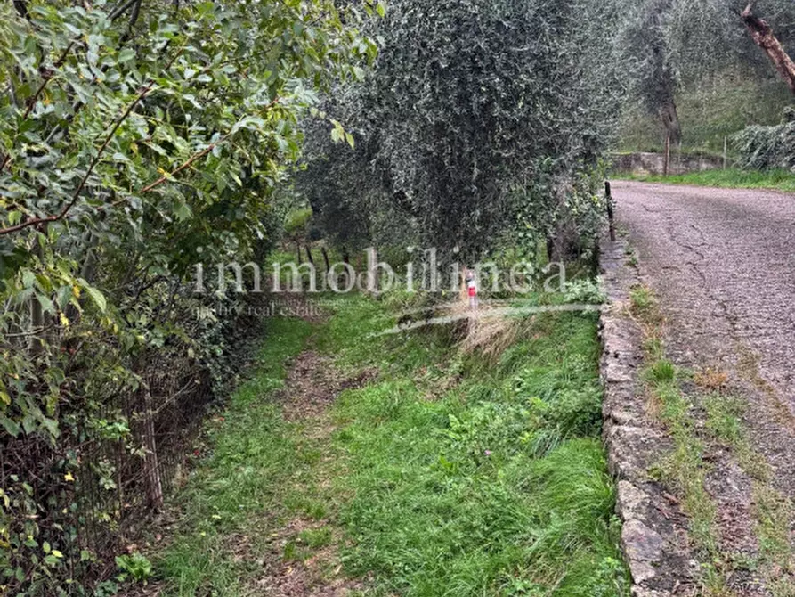 Immagine 4 di Terreno in vendita  in Via per Ca' Tronconi a Torri Del Benaco
