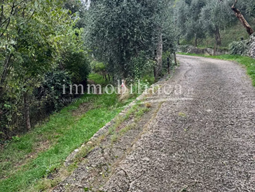 Immagine 5 di Terreno in vendita  in Via per Ca' Tronconi a Torri Del Benaco