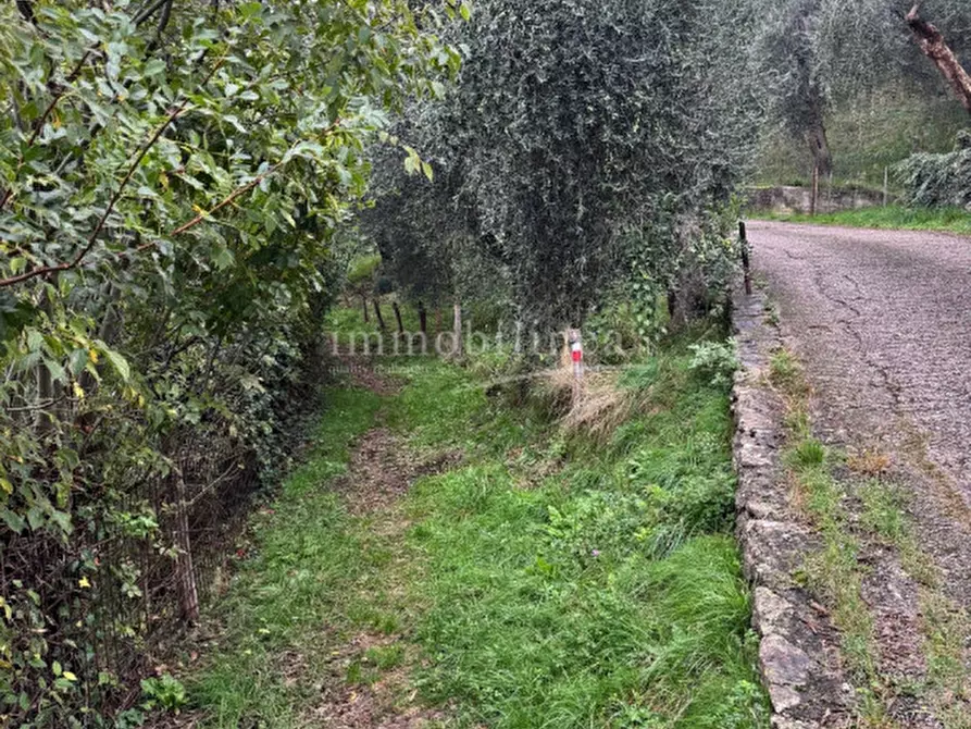 Immagine 4 di Terreno in vendita  in Via per Ca' Tronconi a Torri Del Benaco
