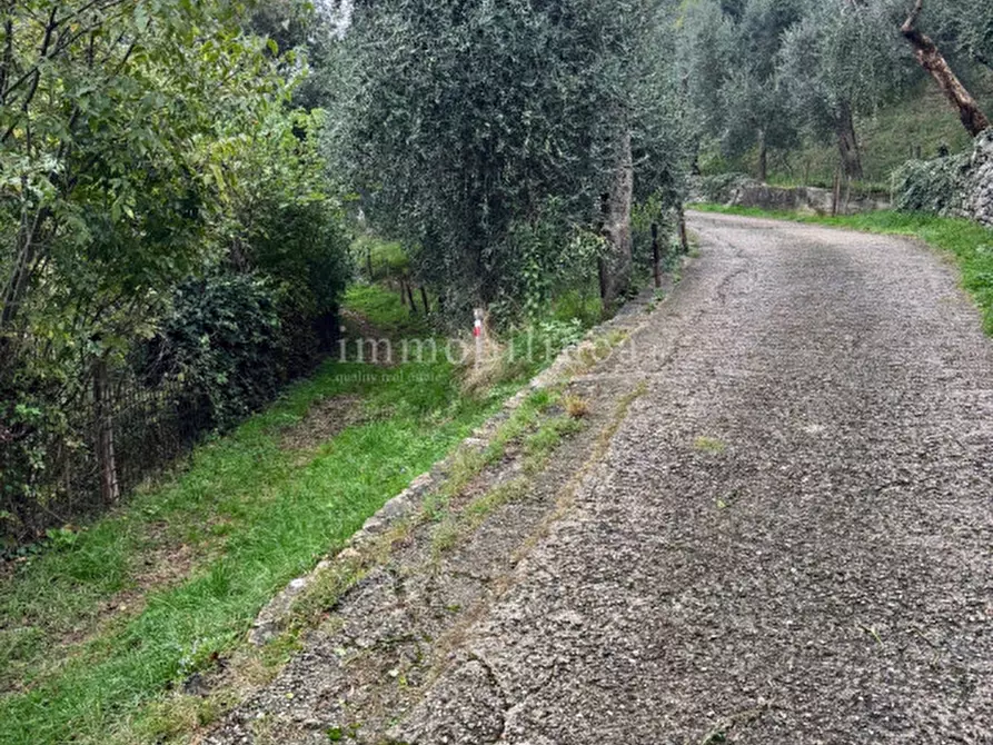 Immagine 5 di Terreno in vendita  in Via per Ca' Tronconi a Torri Del Benaco