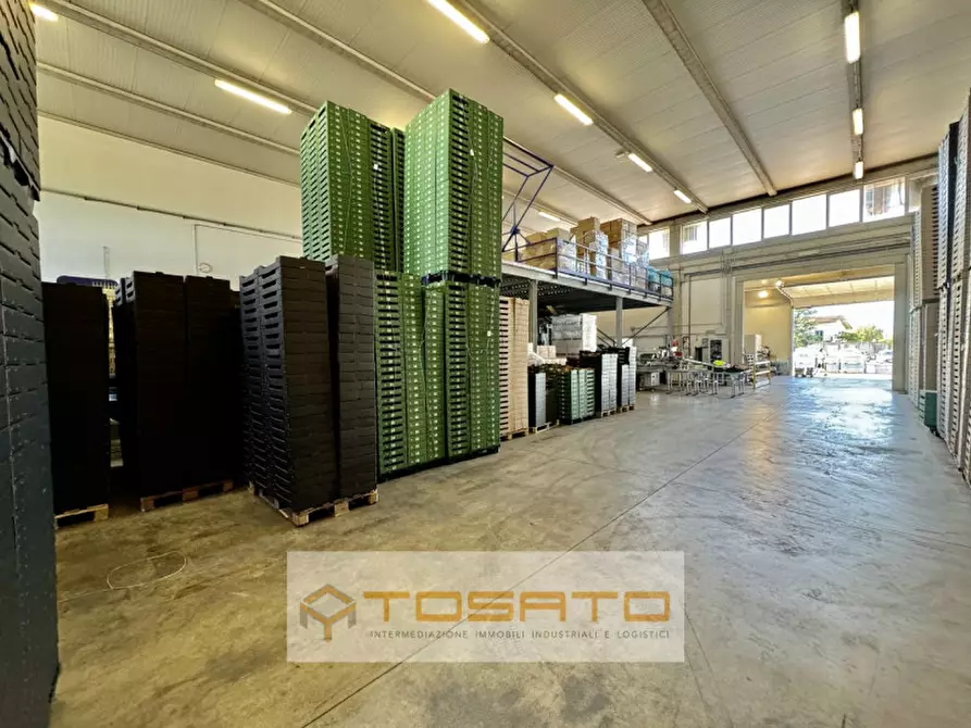 Immagine 2 di Capannone industriale in affitto  a Vigasio