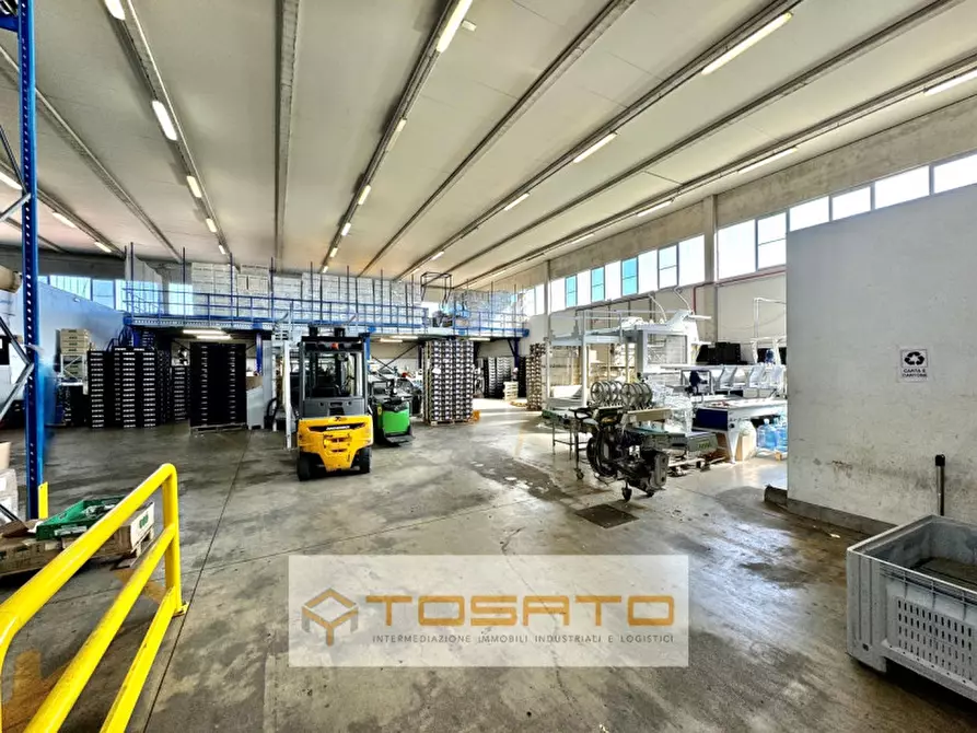 Immagine 2 di Capannone industriale in affitto  a Vigasio