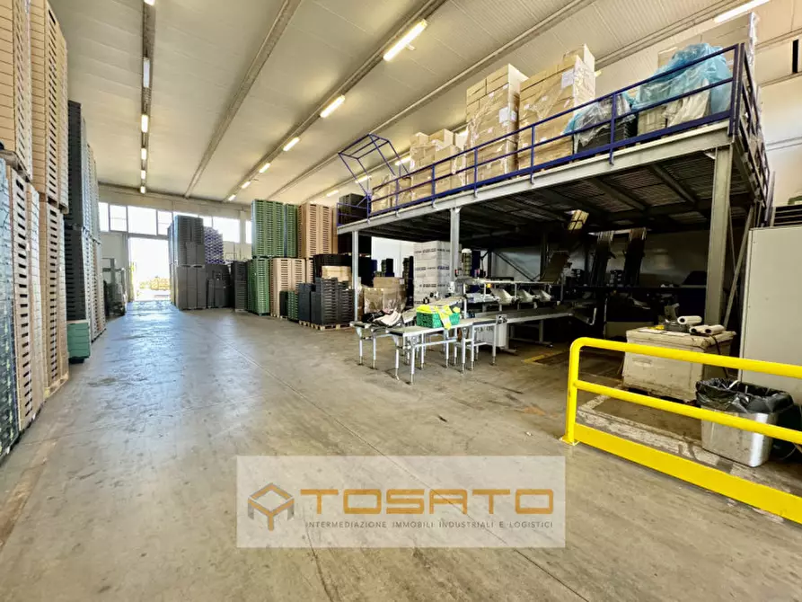 Immagine 3 di Capannone industriale in affitto  a Vigasio