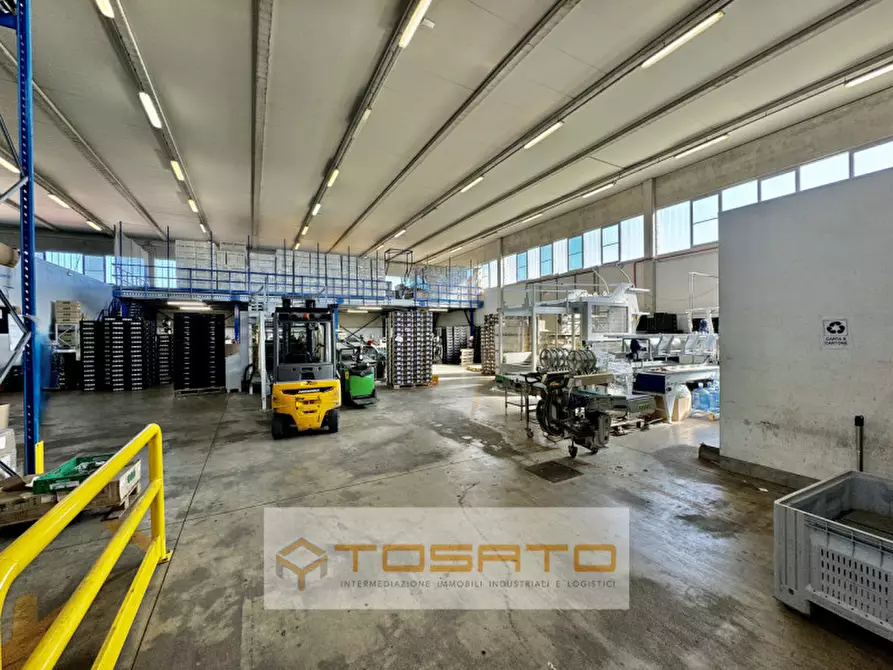 Immagine 4 di Capannone industriale in affitto  a Vigasio