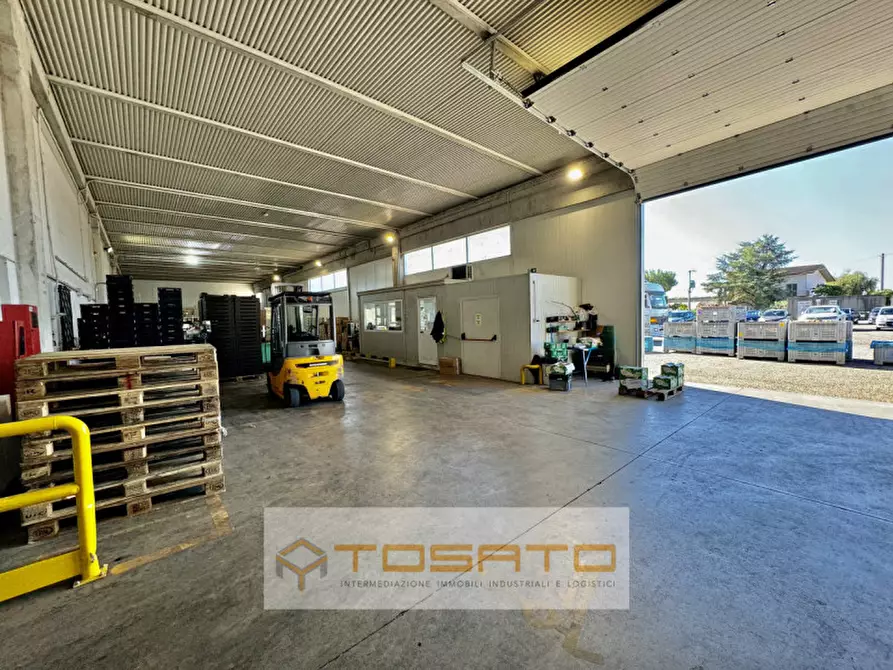 Immagine 5 di Capannone industriale in affitto  a Vigasio