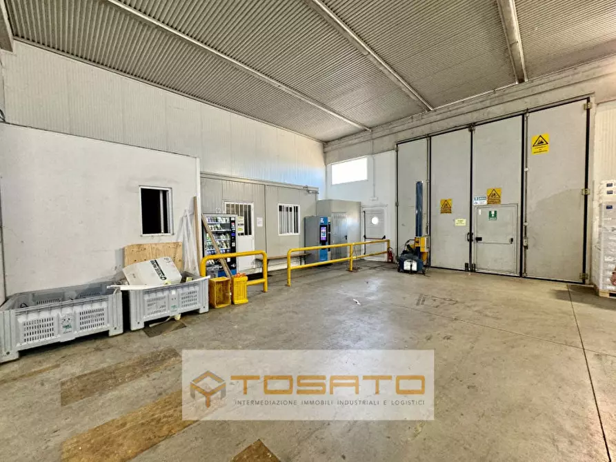 Immagine 6 di Capannone industriale in affitto  a Vigasio