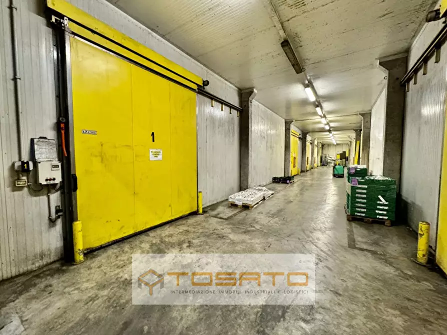 Immagine 7 di Capannone industriale in affitto  a Vigasio