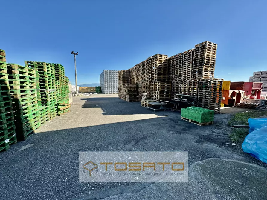 Immagine 9 di Capannone industriale in affitto  a Vigasio