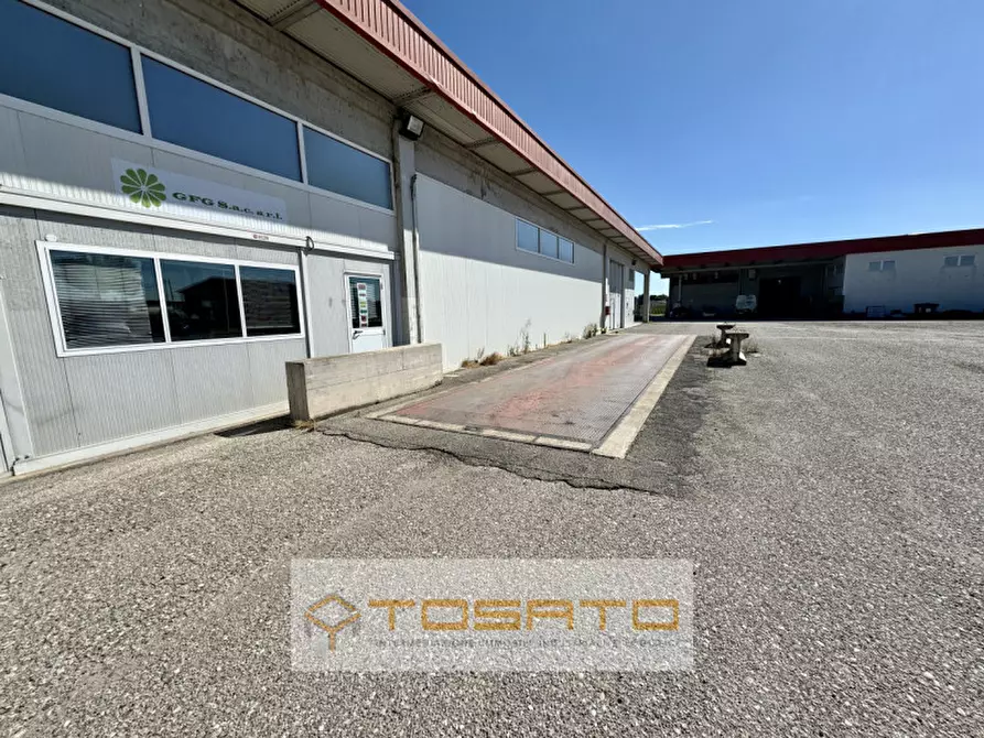 Immagine 10 di Capannone industriale in affitto  a Vigasio