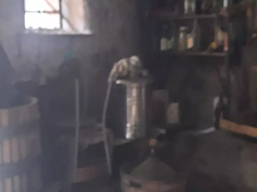 Immagine 2 di Cantina in vendita  in Vicolo Savelli 38 a Palombara Sabina