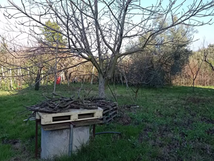 Immagine 2 di Terreno in vendita  in località san francesco a Palombara Sabina