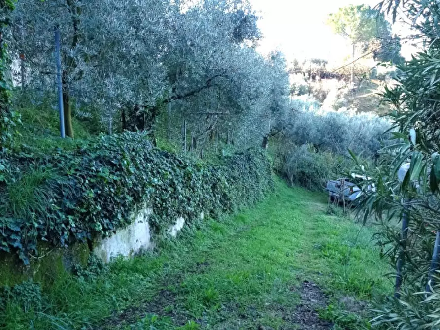 Immagine 2 di Terreno in vendita  in località san francesco a Palombara Sabina