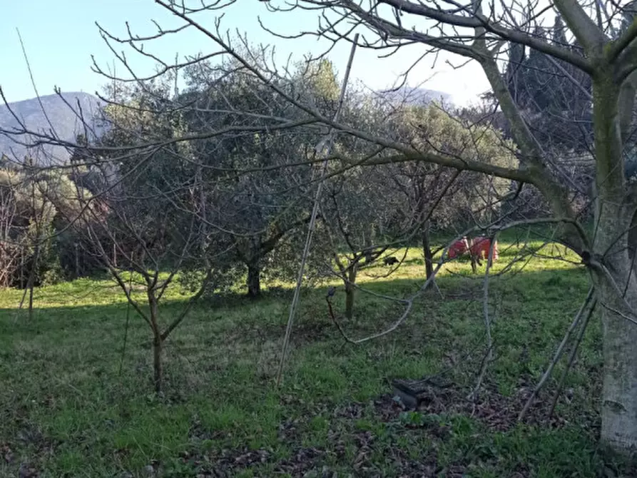 Immagine 3 di Terreno in vendita  in località san francesco a Palombara Sabina