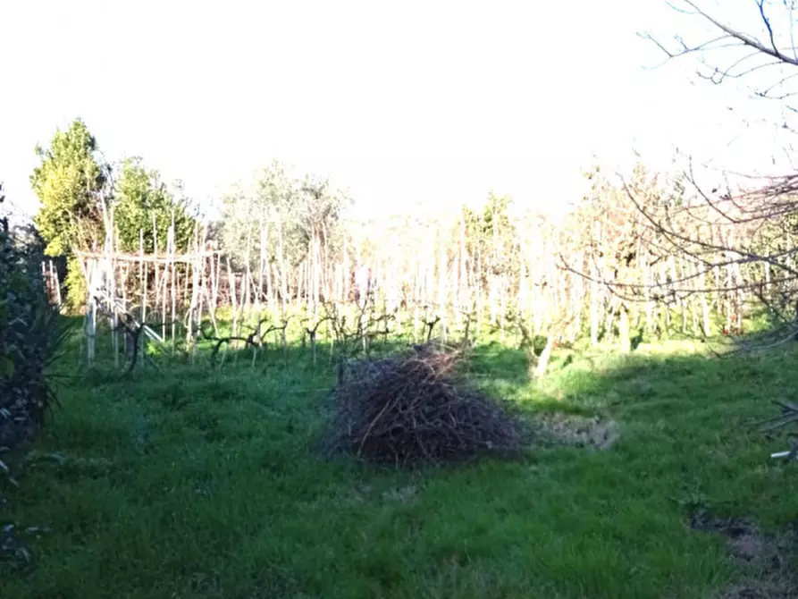 Immagine 5 di Terreno in vendita  in località san francesco a Palombara Sabina