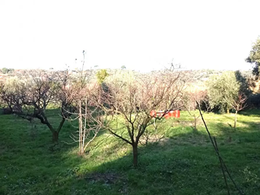 Immagine 6 di Terreno in vendita  in località san francesco a Palombara Sabina