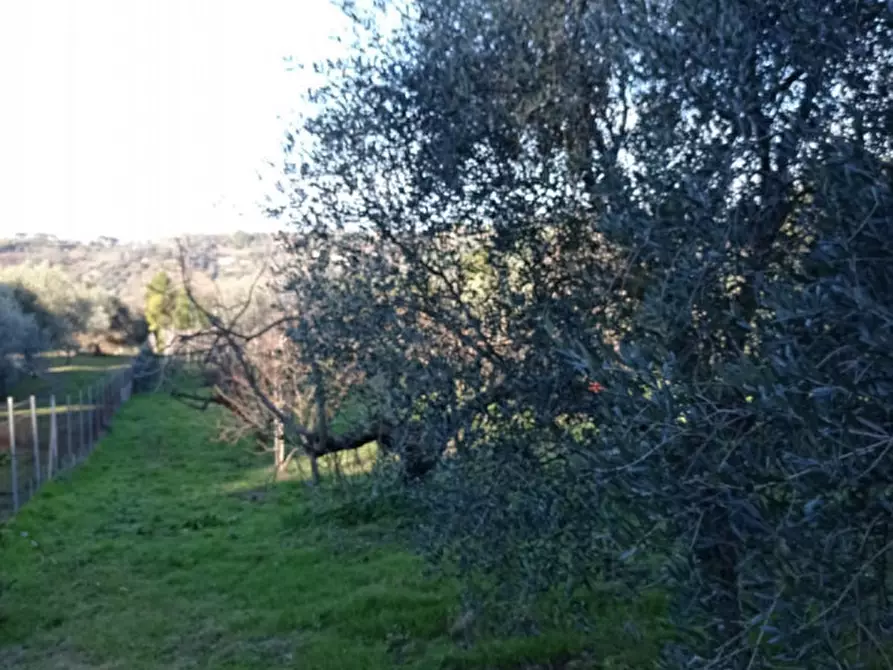 Immagine 8 di Terreno in vendita  in località san francesco a Palombara Sabina