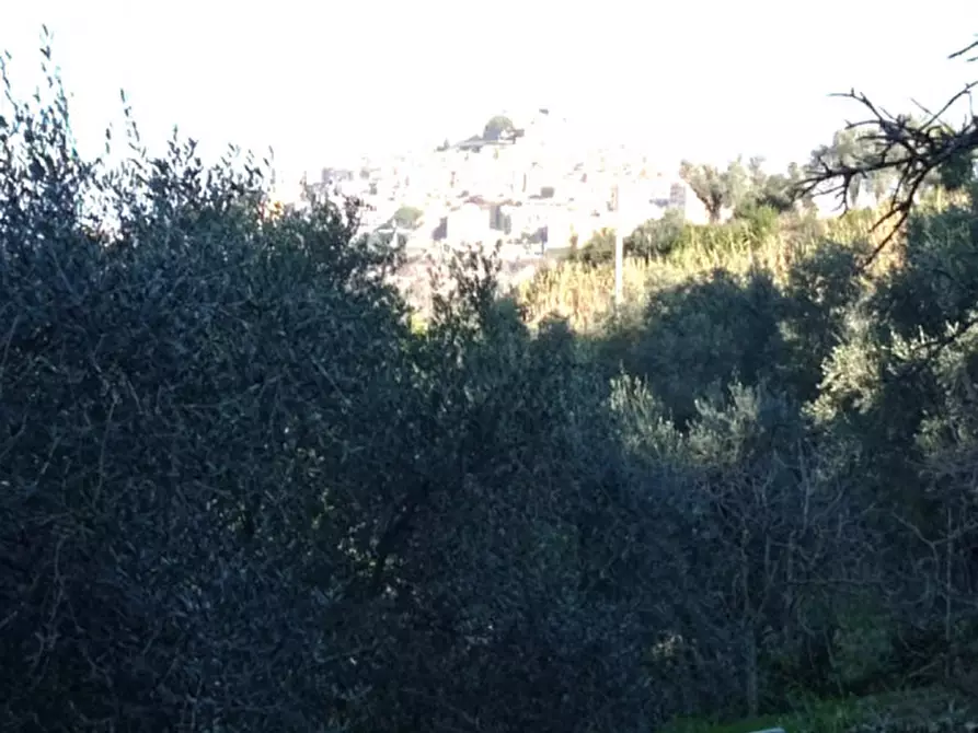 Immagine 9 di Terreno in vendita  in località san francesco a Palombara Sabina