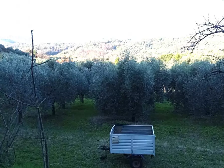 Immagine 10 di Terreno in vendita  in località san francesco a Palombara Sabina