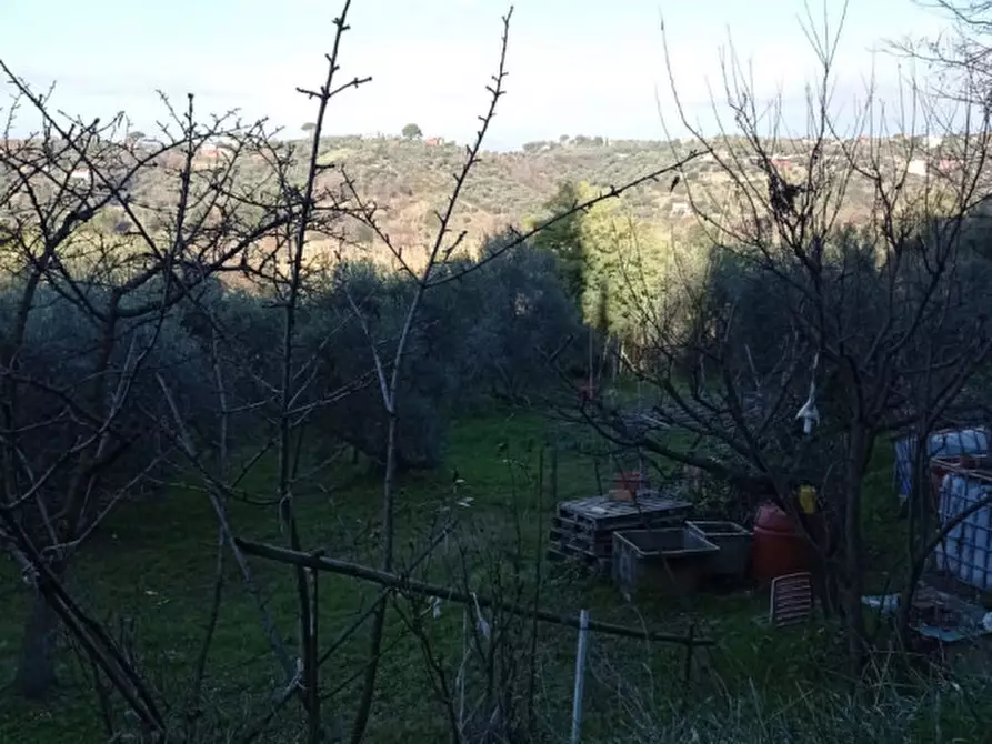 Immagine 10 di Terreno in vendita  in località san francesco a Palombara Sabina