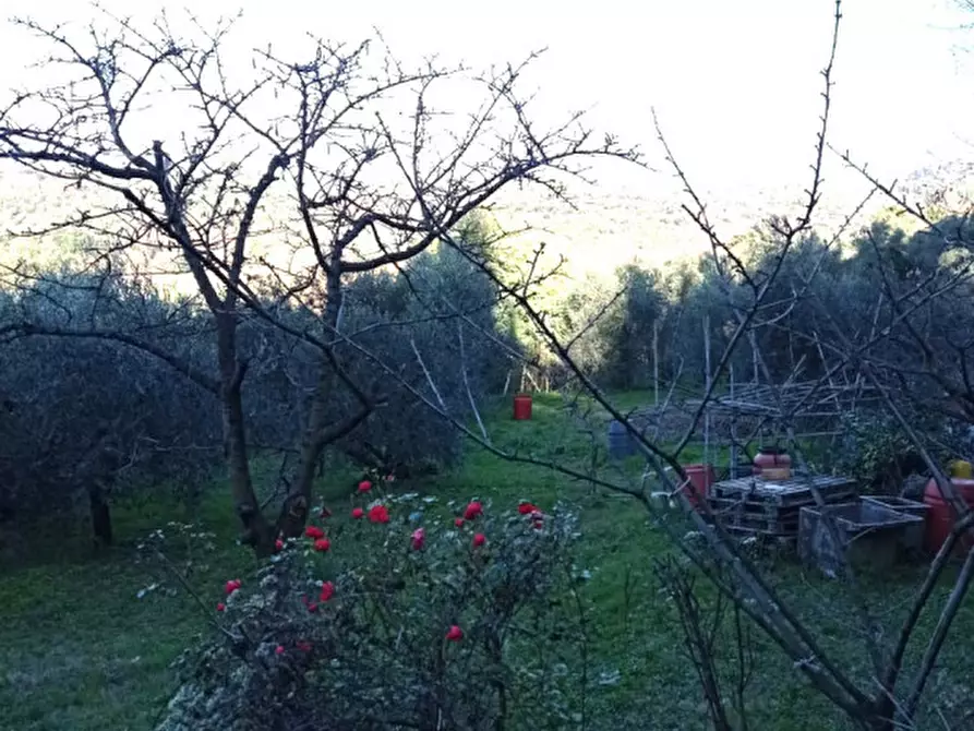 Immagine 11 di Terreno in vendita  in località san francesco a Palombara Sabina