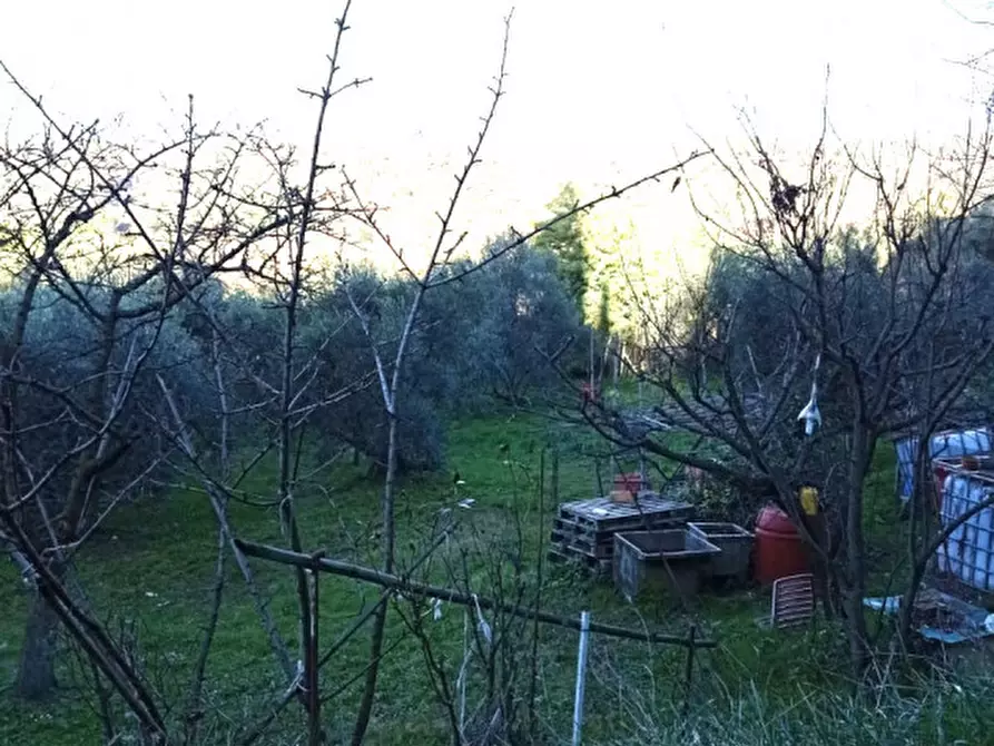 Immagine 12 di Terreno in vendita  in località san francesco a Palombara Sabina