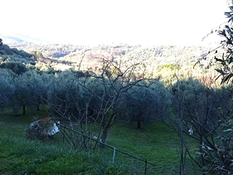 Immagine 13 di Terreno in vendita  in località san francesco a Palombara Sabina
