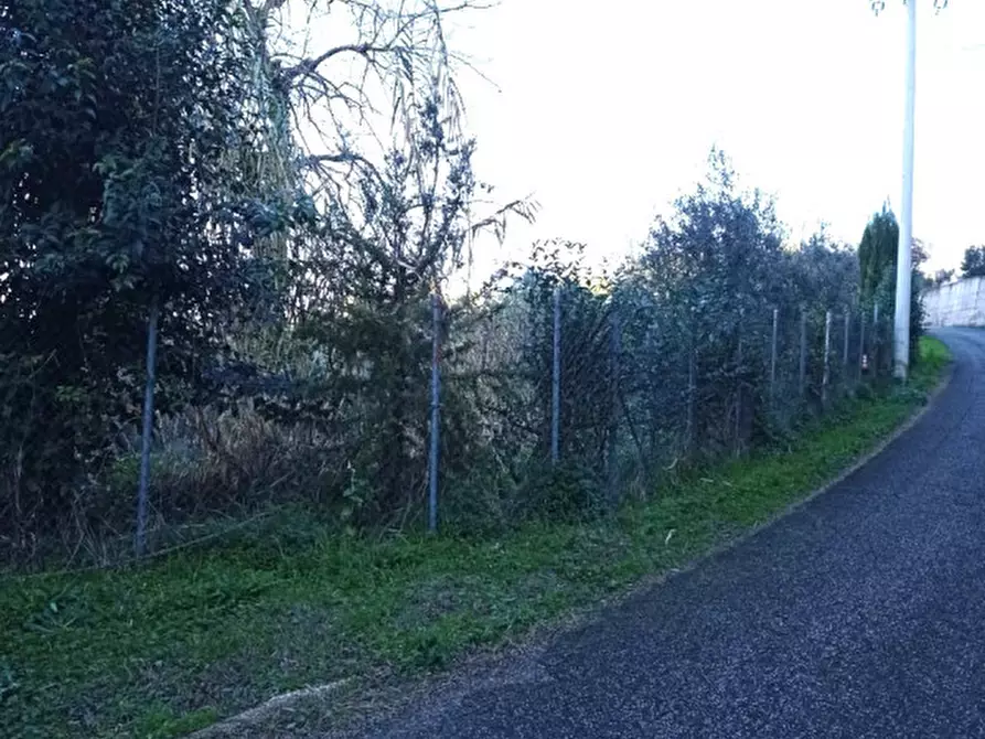 Immagine 14 di Terreno in vendita  in località san francesco a Palombara Sabina