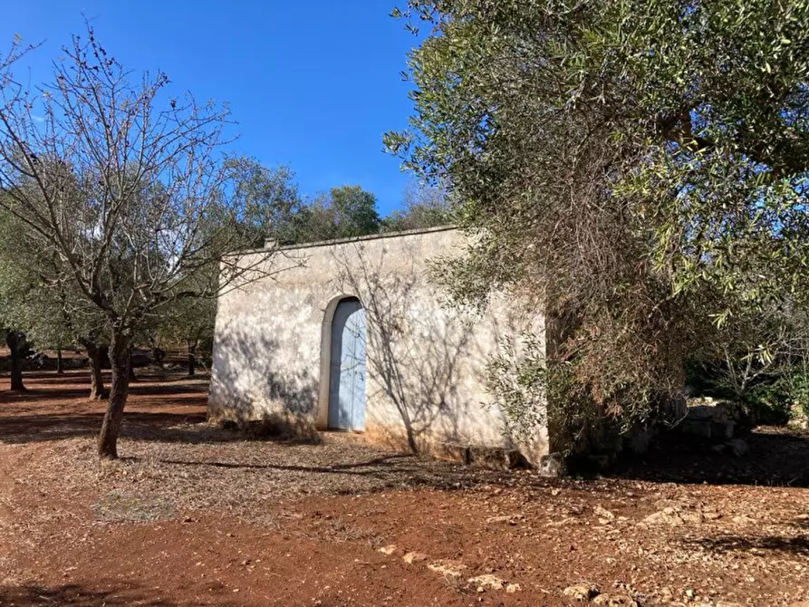 Immagine 1 di Rustico / casale in vendita  in CONTRADA SAN PIETRO a Ceglie Messapico