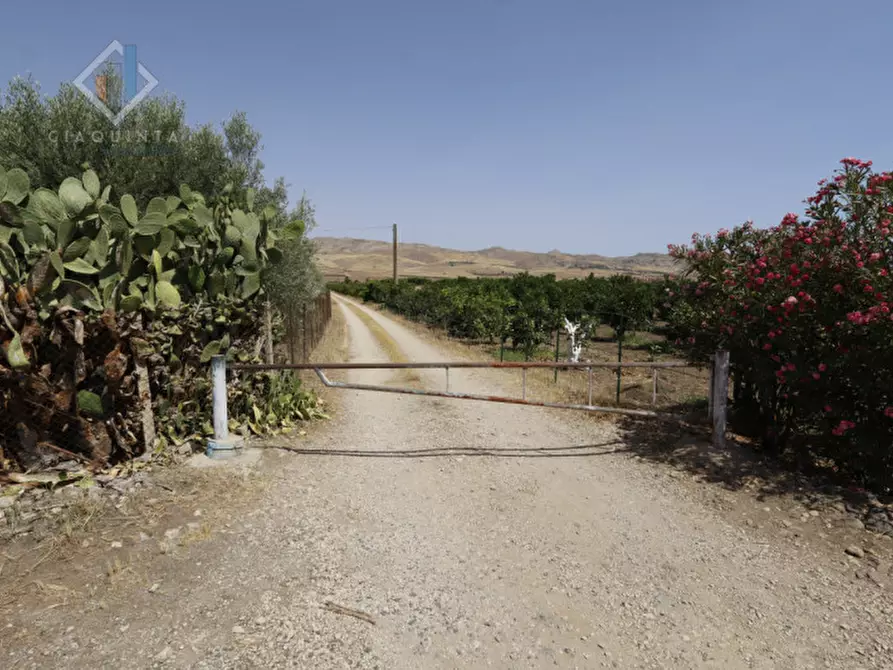 Immagine 8 di Terreno in vendita  in contrada Passo Cantone snc a Mineo
