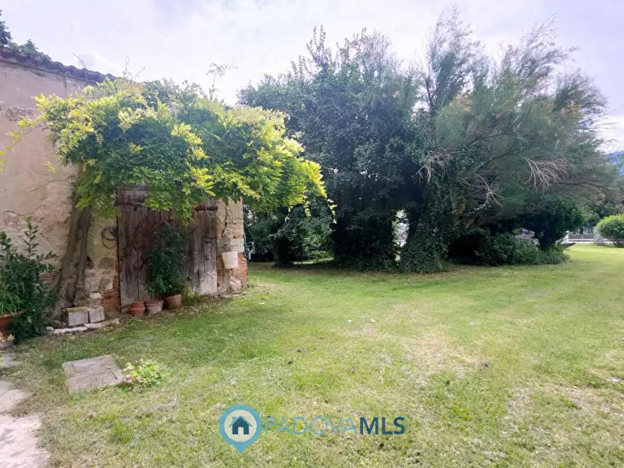 Immagine 27 di Rustico / casale in vendita  in Via San Francesco a Rovolon