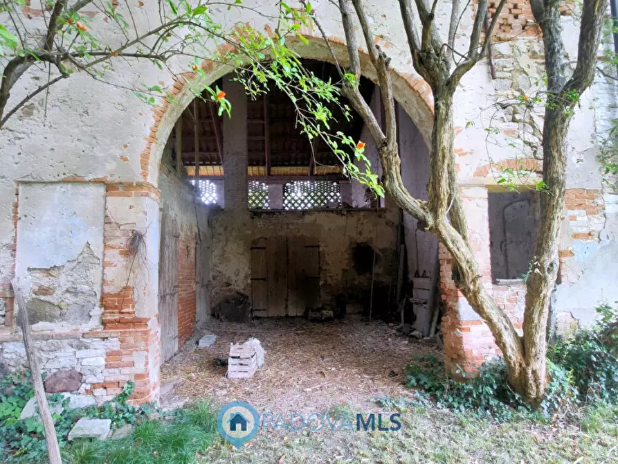 Immagine 28 di Rustico / casale in vendita  in Via San Francesco a Rovolon