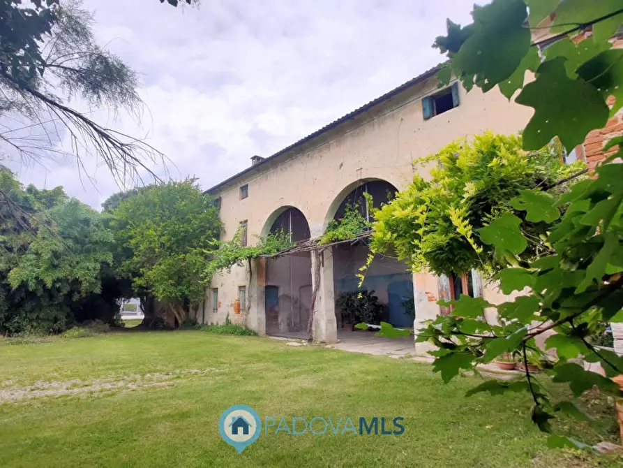 Immagine 35 di Rustico / casale in vendita  in Via San Francesco a Rovolon