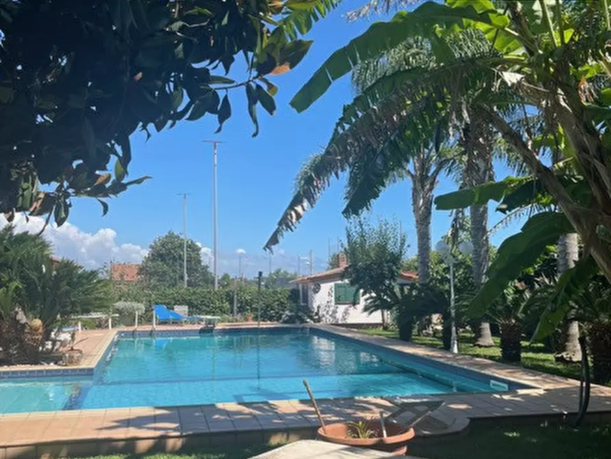 Immagine 22 di Villa in affitto  in Nettuno a Nettuno