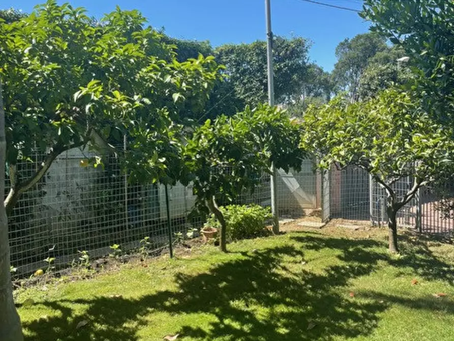 Immagine 24 di Villa in affitto  in Nettuno a Nettuno