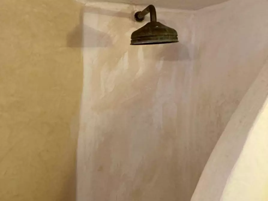 Immagine 32 di Rustico / casale in vendita  in Contrada Spasimato a Ceglie Messapico