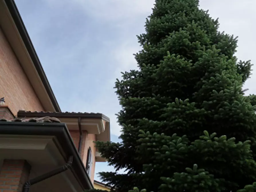 Immagine 52 di Villa in vendita  in Via Dino Mora, 11 a Colorno